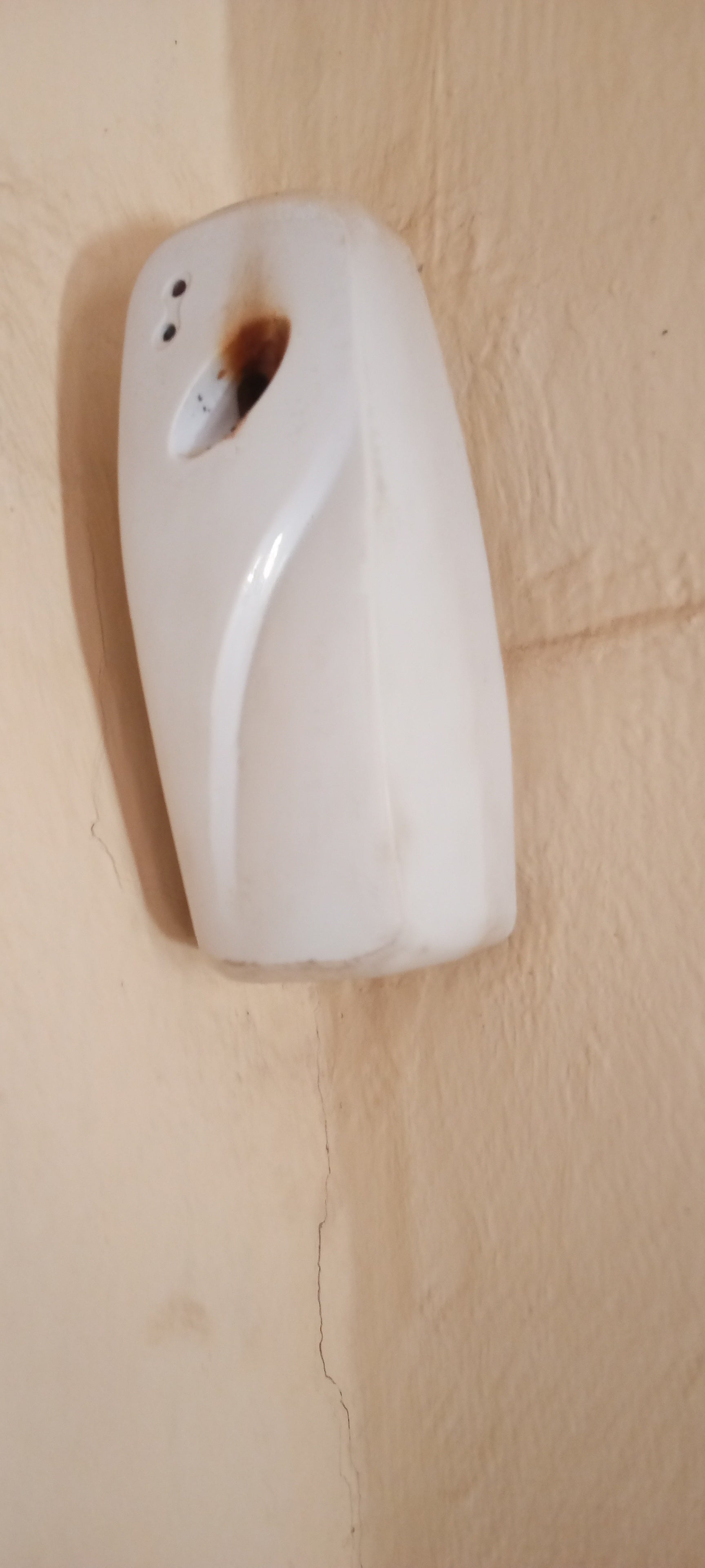 Cabin Air Freshener