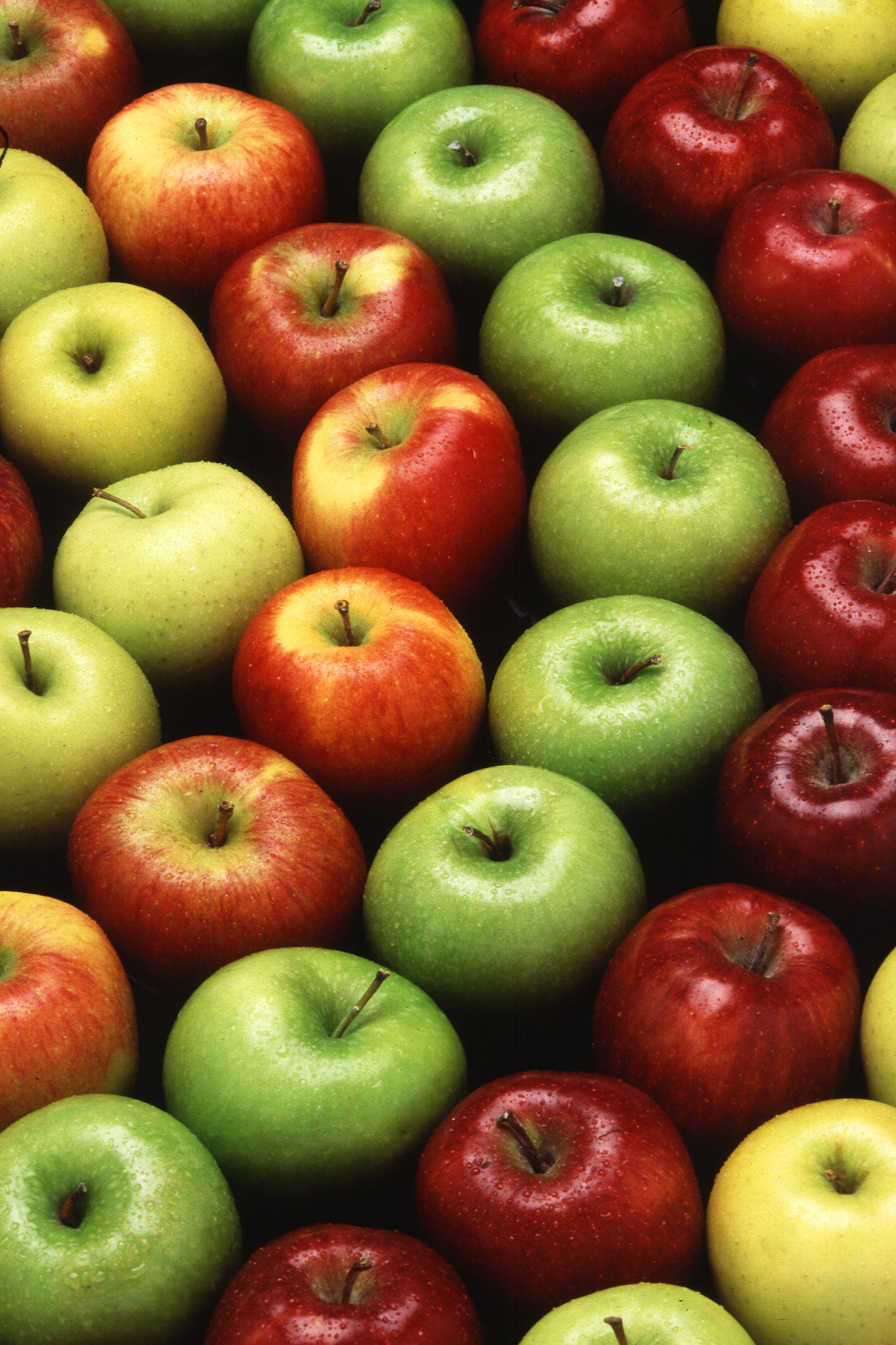 Apples Fresh