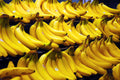 Bananas Fresh