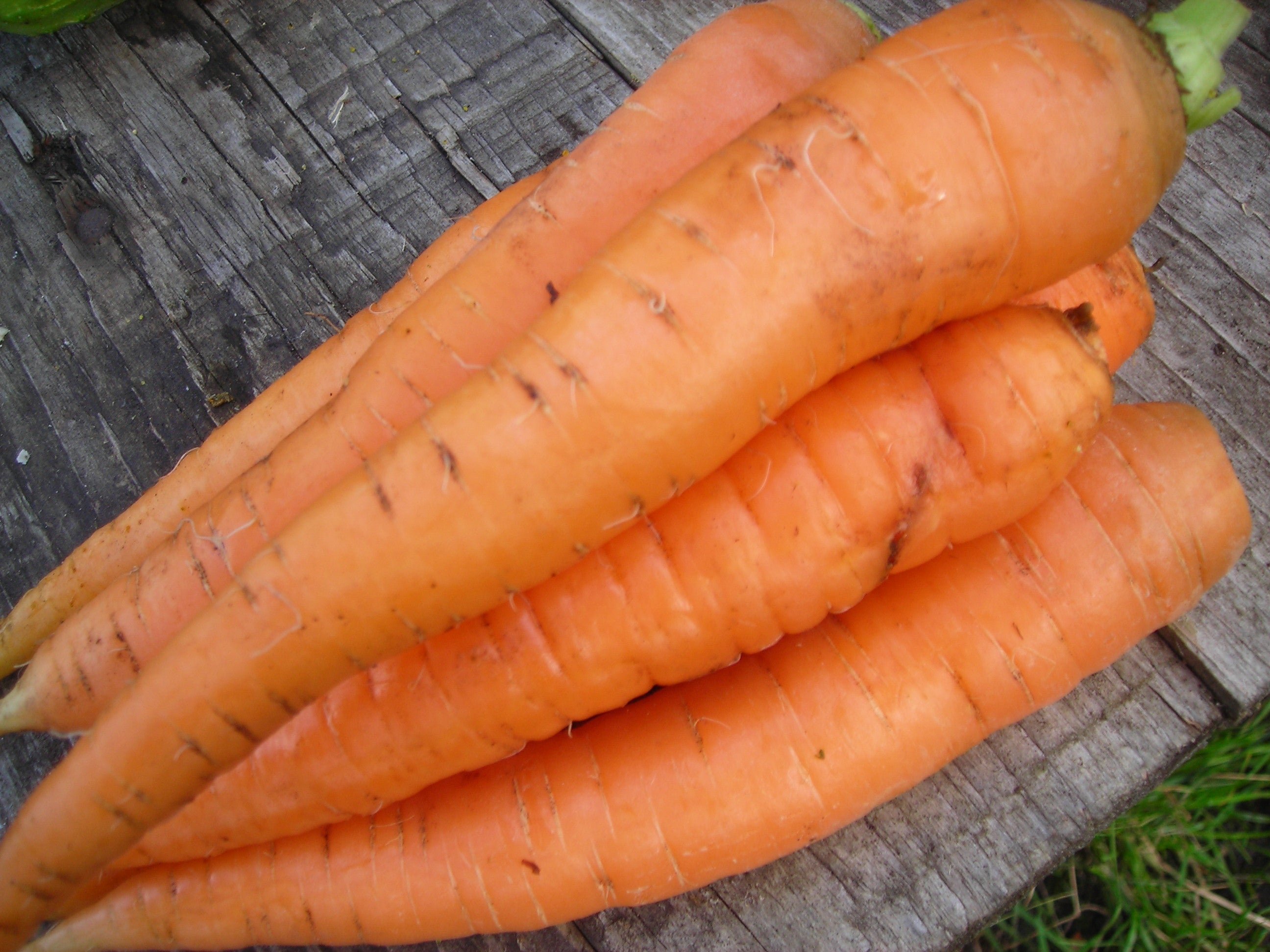 Carrots Fresh