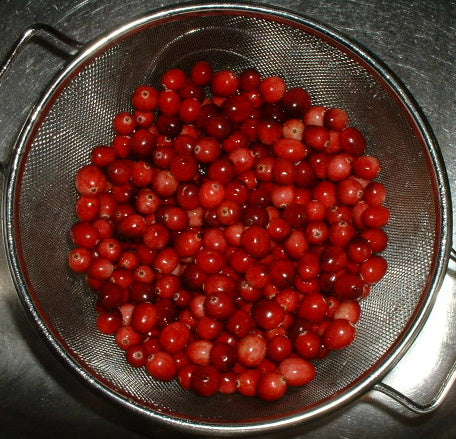 Colander Plastic